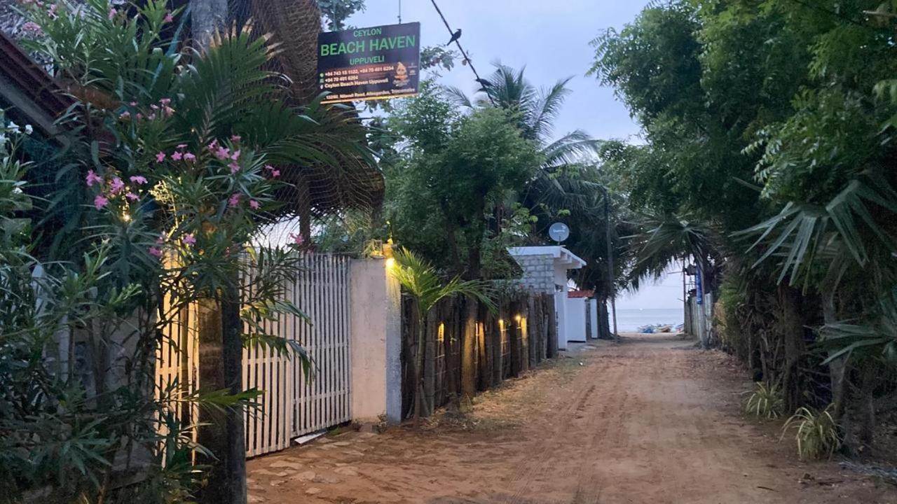 Ceylon Beach Haven Uppuveli Trincomalee Luaran gambar